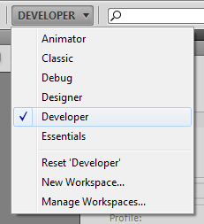Developer Workspace Selection